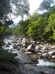 River in Cairns